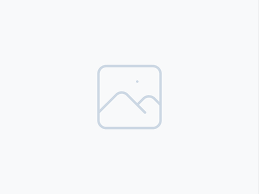 Lucrare finală zirconiu